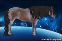 Horse Color:Gray Bay