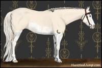Horse Color:Cremello Splash  and Perlino Splash 
