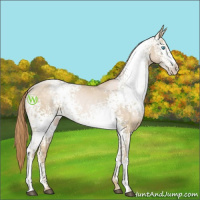 Horse Color:White Spotted Buckskin Pearl Mushroom 