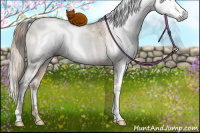 Horse Color:Gray Liver Red Dun Pearl Sabino Rabicano