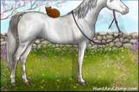 Horse Color:Gray White Spotted Liver Red Dun Pearl Sabino Rabicano 