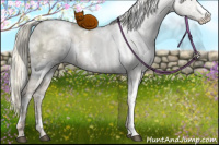 Horse Color:White Spotted Liver Red Dun Ice Pearl Mushroom