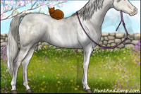 Horse Color:White Spotted Liver Red Dun Ice Pearl Mushroom 