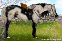 Horse Color:Void Liver Red Dun Ice Pearl Sabino Tobiano