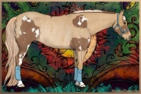 Horse Color:White Spotted Chestnut Rabicano and Palomino Roan Rabicano
