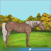 Horse Color:Silver Black 