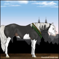 Horse Color:Liver Chestnut Mushroom Splash 