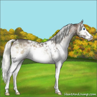 Horse Color:White Spotted Liver Red Onyx Mushroom Splash 
