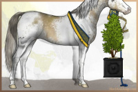 Horse Color:White Spotted Chocolate Palomino Dun Mushroom Tobiano 
