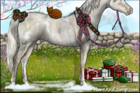 Horse Color:White Spotted Liver Red Dun Ice Pearl Mushroom Sabino