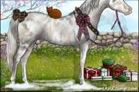 Horse Color:White Spotted Liver Red Dun Ice Pearl Mushroom Sabino Appaloosa 