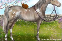 Horse Color:White Spotted Silver Brown Ice Dun Sabino