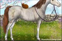 Horse Color:White Spotted Buckskin Ice Pearl Dun Sabino 