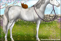 Horse Color:White Spotted Silver Buckskin Ice Pearl Dun Sabino Splash 