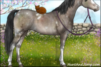 Horse Color:White Spotted Brown Ice Dun