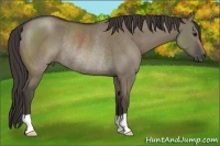 Horse Color:Smoky Grullo Rabicano 