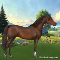 Horse Color:Liver Chestnut Sabino Tobiano