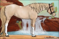 Horse Color:Red Roan Pearl Tobiano 