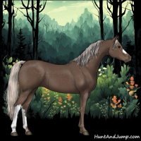 Horse Color:Silver Black 