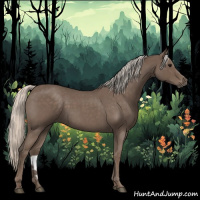 Horse Color:Silver Blue Roan 