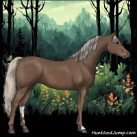 Horse Color:Silver Black 