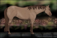 Horse Color:Liver Red Dun 