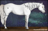 Horse Color:Gray Silver Grullo Roan Pearl Tobiano
