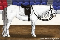 Horse Color:White Spotted Bay Splash  and White Spotted Bay Splash 