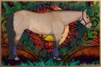 Horse Color:Bay Dun Sabino Rabicano  and Bay Dun Sabino Rabicano 