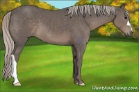 Horse Color:Silver Black 