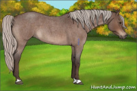 Horse Color:Silver Brown Roan 