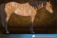 Horse Color:Buckskin Roan Rabicano and Buckskin Rabicano