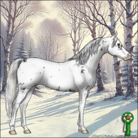 Horse Color:Liver Chestnut Mushroom Sabino 
