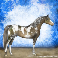 Horse Color:White Spotted Chocolate Palomino Mushroom