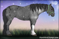 Horse Color:Black Ice 