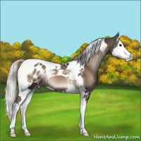 Horse Color:Silver Blue Onyx Splash Tobiano Appaloosa 