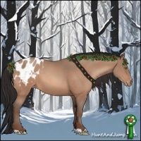 Horse Color:Sable Champagne Appaloosa 
