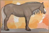 Horse Color:Silver Grullo 