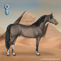 Horse Color:Brown Dun Sabino