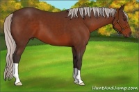 Horse Color:Silver Brown 