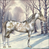 Horse Color:White Spotted Chocolate Palomino Ice Mushroom 