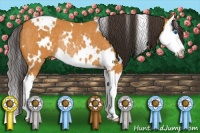 Horse Color:White Spotted Buckskin Splash Rabicano 
