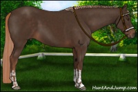 Horse Color:Liver Chestnut  and Liver Chestnut 