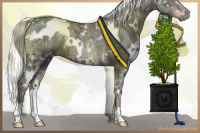 Horse Color:White Spotted Liver Chestnut Ice Mushroom Rabicano 