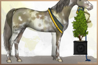 Horse Color:White Spotted Liver Red Dun Mushroom Frame 