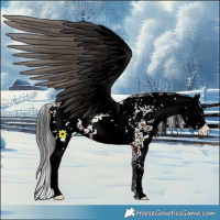 Horse Color:Brown Sabino 