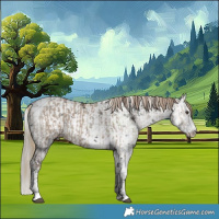 Horse Color:Liver Red Dun Sabino Tobiano Rabicano  and White Spotted Liver Chestnut Sabino 