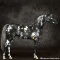 Horse Color:White Spotted Liver Chestnut Ice Mushroom 