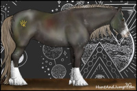 Horse Color:Liver Chestnut Sabino 