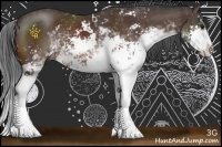 Horse Color:Bay Sabino 